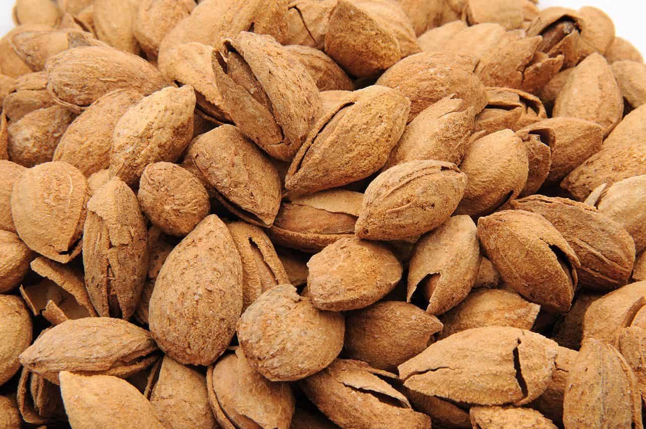 تصویر 4 از مغزبادام درختی بادرصد روغن 50 تا 60